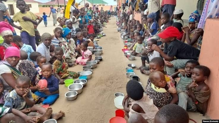 Moçambique exige resposta urgente à crise dos direitos humanos em Cabo Delgado